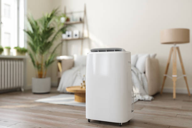 Best Best HVAC Companies  in Constantine, MI